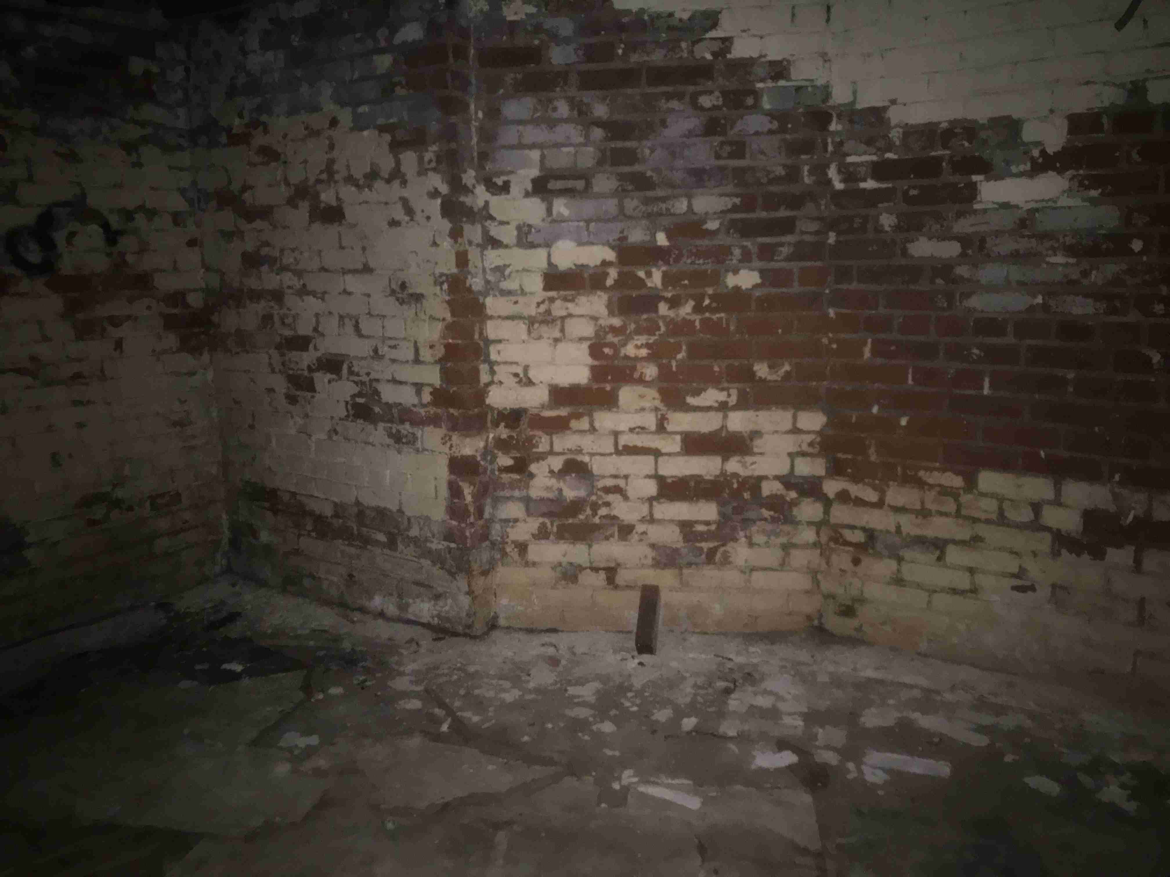 Photo Nov 04, 5 12 14 PM.jpg